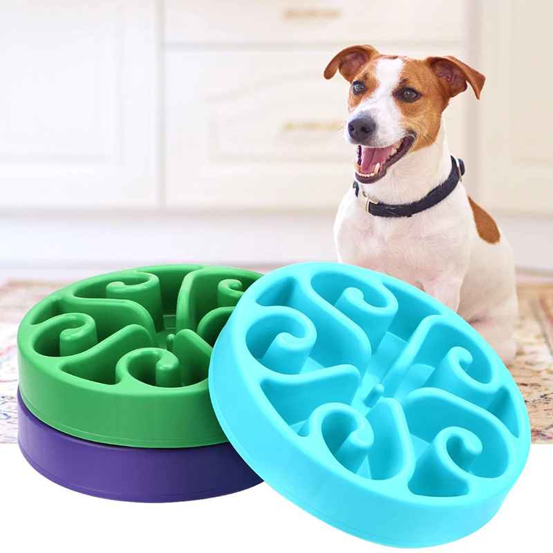 Bol pour chien, alimentation lente, mangeoire pour chiens, chats et animaux de compagnie, plat à manger en plastique, bol, nourriture pour chats, assiette anti-déglutition